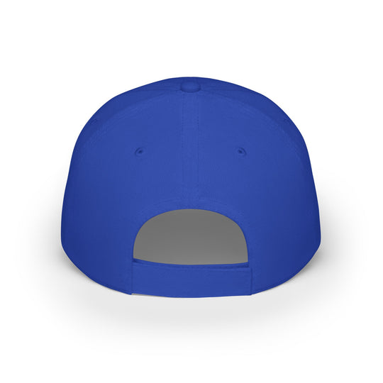 "MN Nice On A Stick" Low Profile Cap